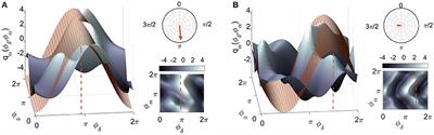 Neural Cross-Frequency Coupling Functions